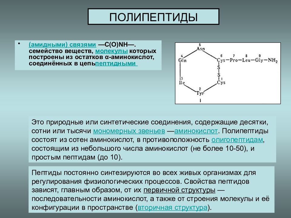 Полипептид организация