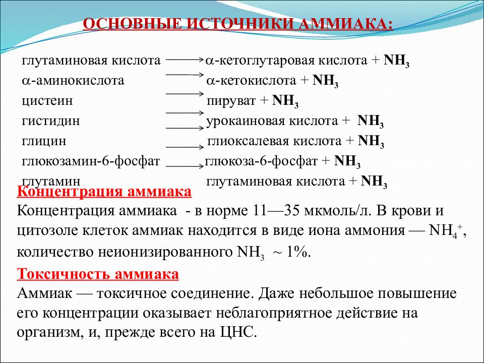 Аммиак содержит. Источники аммиака в организме. Источники образования аммиака в организме. Основные источники аммиака в клетках. Источником аммиака в организме может быть.