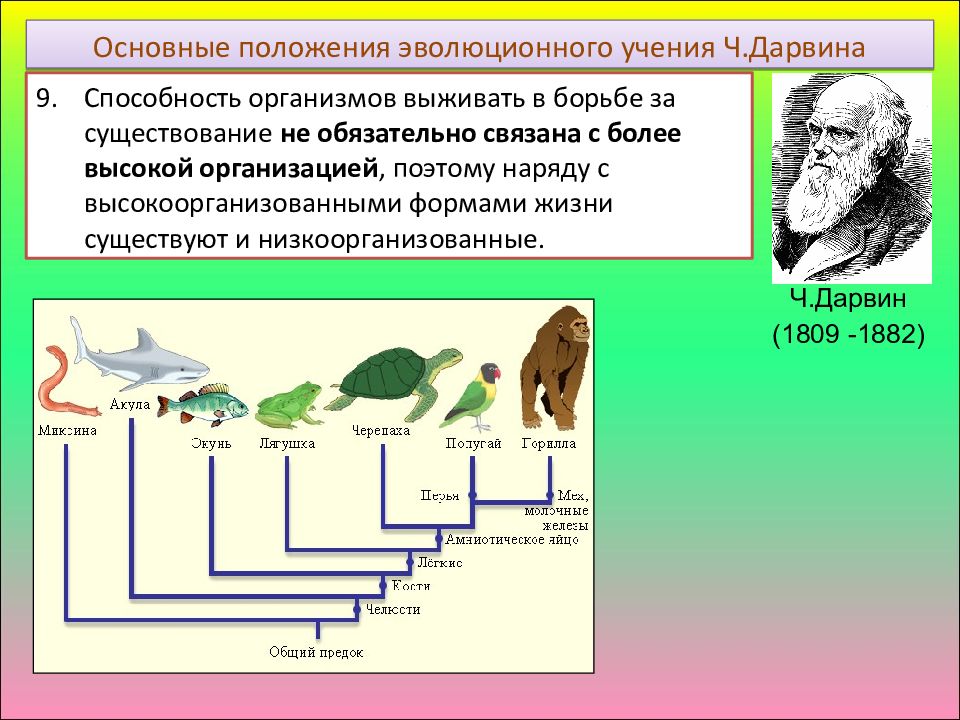 Эволюционная теория презентация