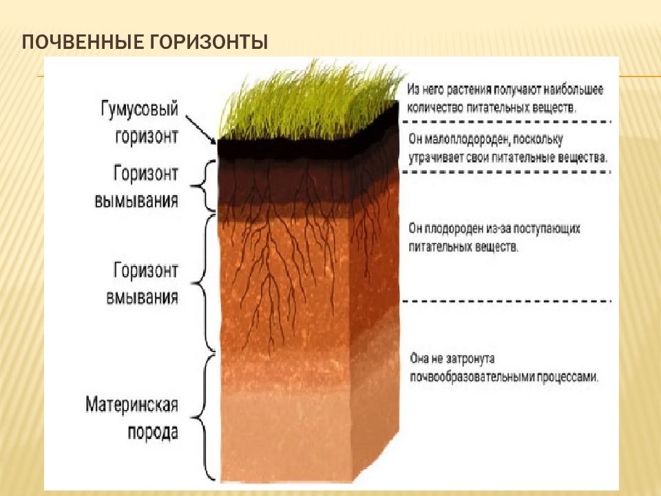 Свойства почвы схема