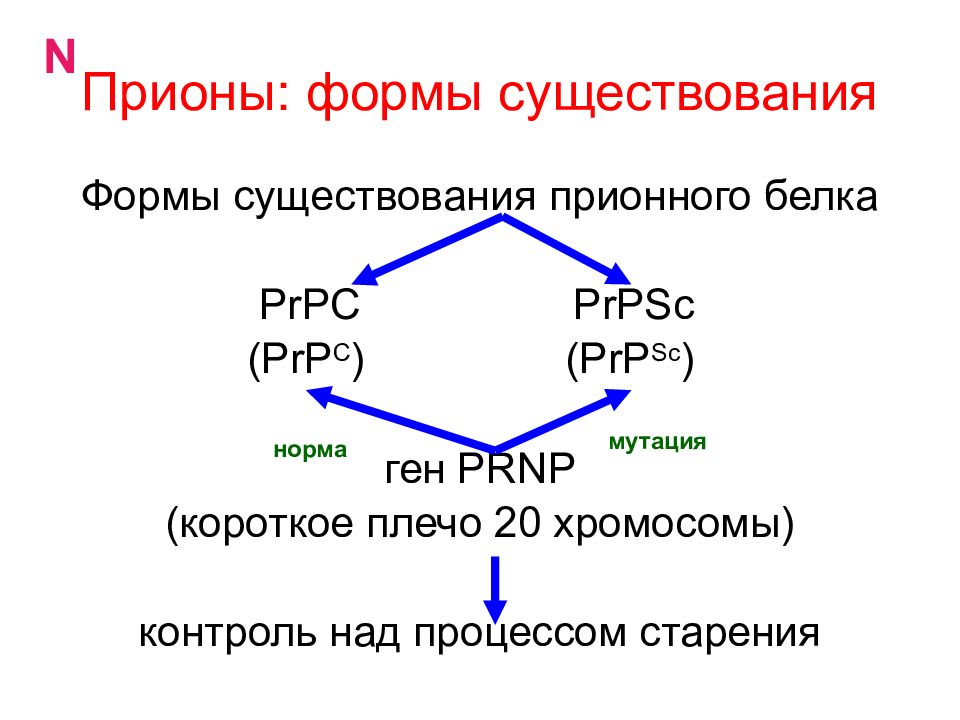 Онкогенные вирусы презентация