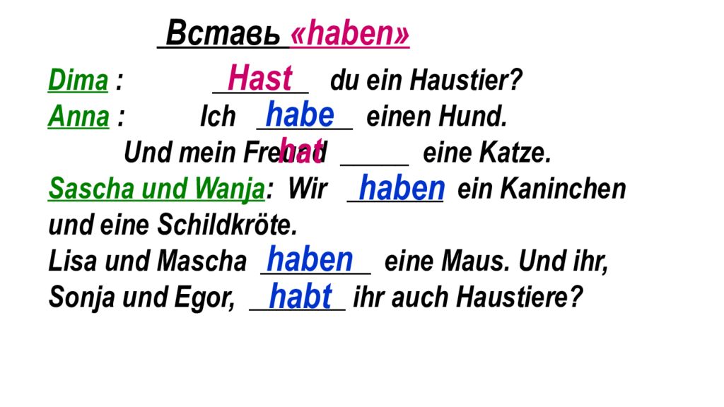 Ich einen. Hast du ein Haustier диалог. Немецкий hast du ein Haustier. Hast du ein Haustier ответ. Ich habe einen Hund вопрос.