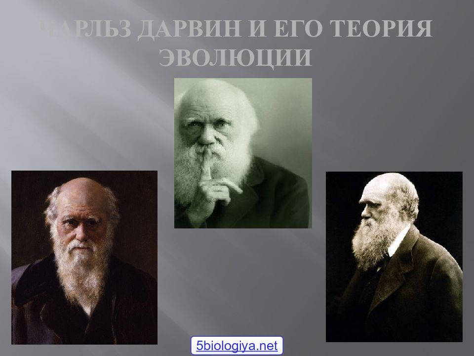 Чарльз Дарвин и его теория эволюции