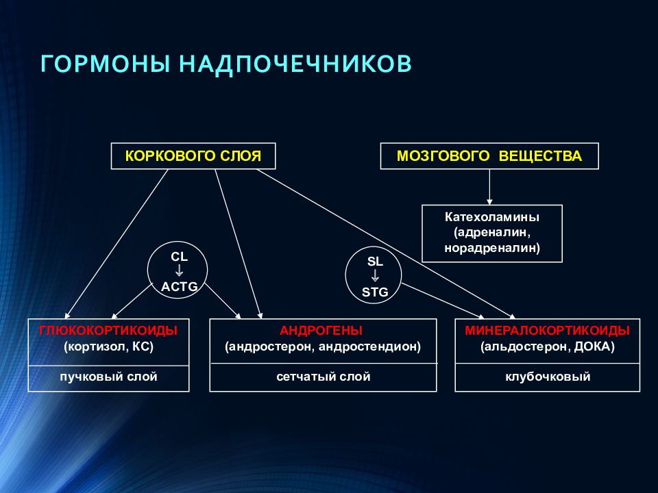 Патофизиология надпочечников презентация