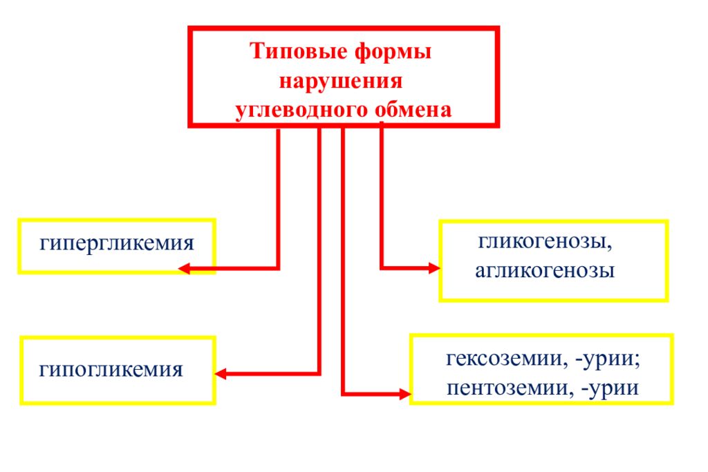 Углеводное нарушение. Типовые формы нарушения углеводного обмена. Типовые нарушения углеводного обмена патофизиология. Типовые формы патологии углеводного обмена. Нарушение обмена углеводов патофизиология.