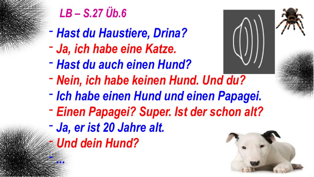 Kannst du helfen ich. Животные на немецком Haustiere. Die Tiere презентация. Haustiere тема. Тема Haustiere на немецком языке.