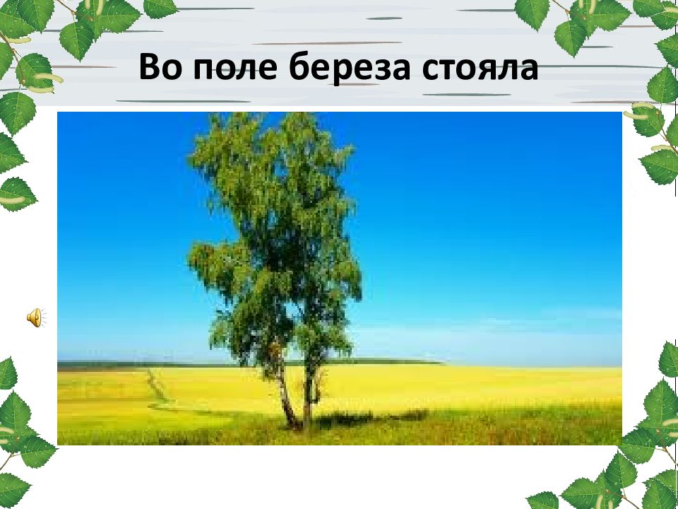 Во поли береза. Во поле береза стояла. Береза в поле. В Ополе береза стояла. Во Ополт берёщка стояла.