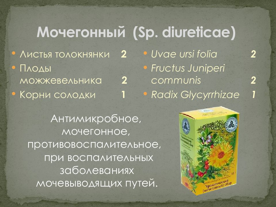 Растительные мочегонные препараты. Лекарственные растительные средства мочегонные. Мочегонный травяной сбор. Мочегонные растительные сборы. Мочегонные растения.