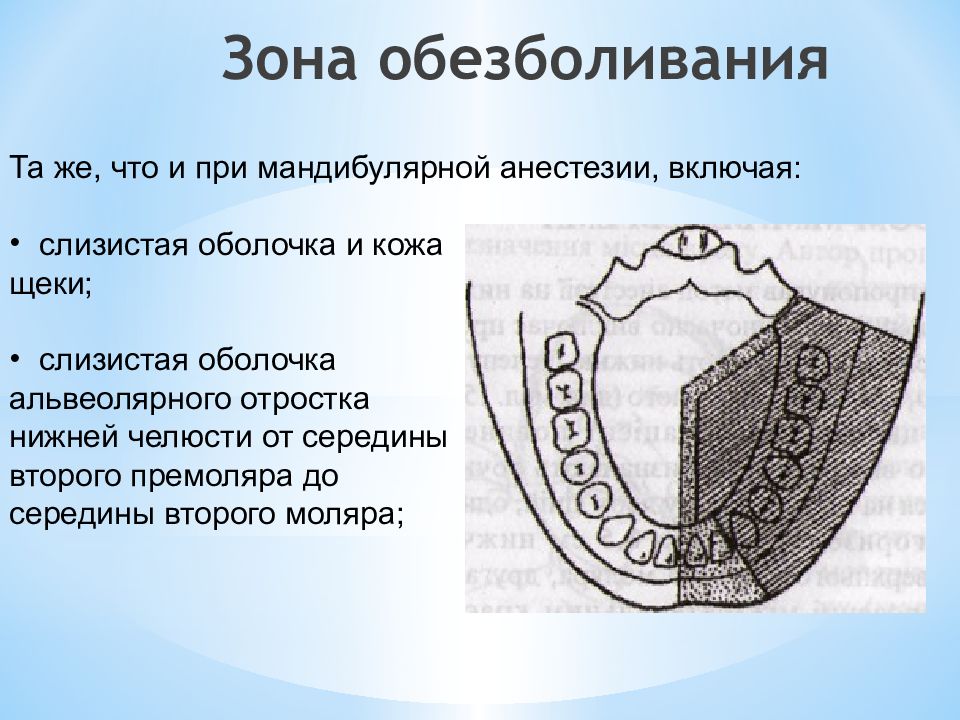 Слизистая альвеолярного отростка нижней челюсти