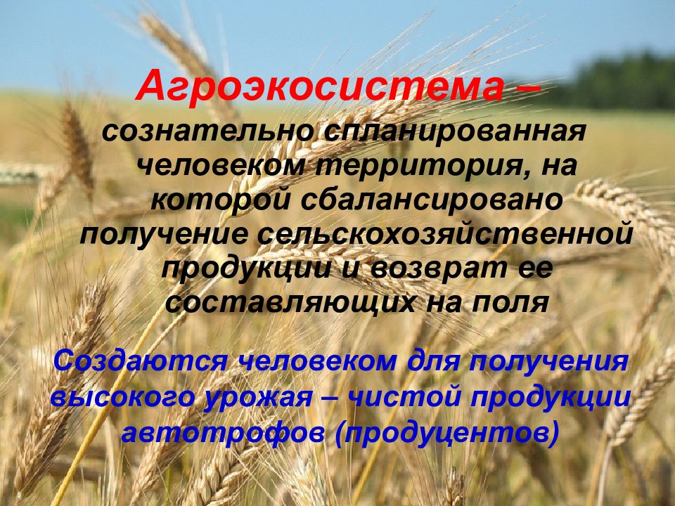 Представленная на рисунке агроэкосистема отличается от природной экосистемы тем что