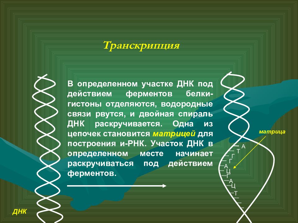 буквы транскрипции английского языка. транскрипция английских звуков таблица. правила чтения гласных в английском языке таблица. как читается английская транскрипция на русском языке. материал произношение.