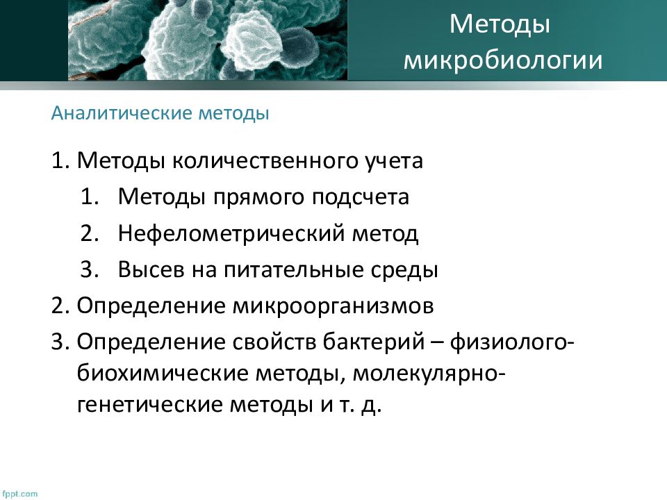 Микробиологическая технология презентация