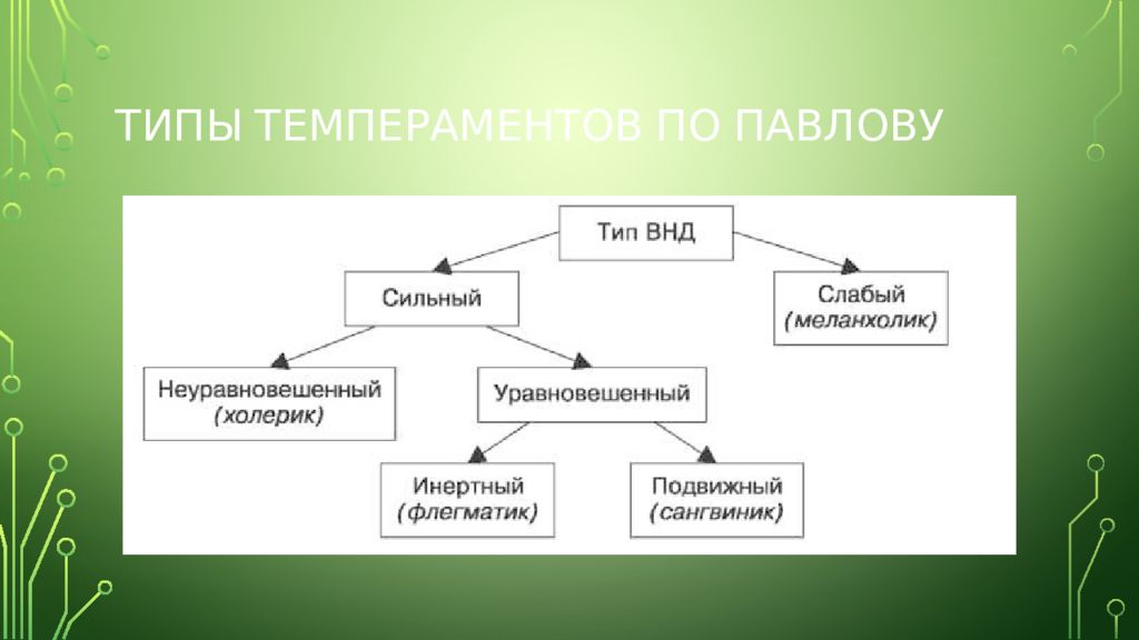 Схема физиологических характеристик общих для человека и животных типов темпераментов по павлову