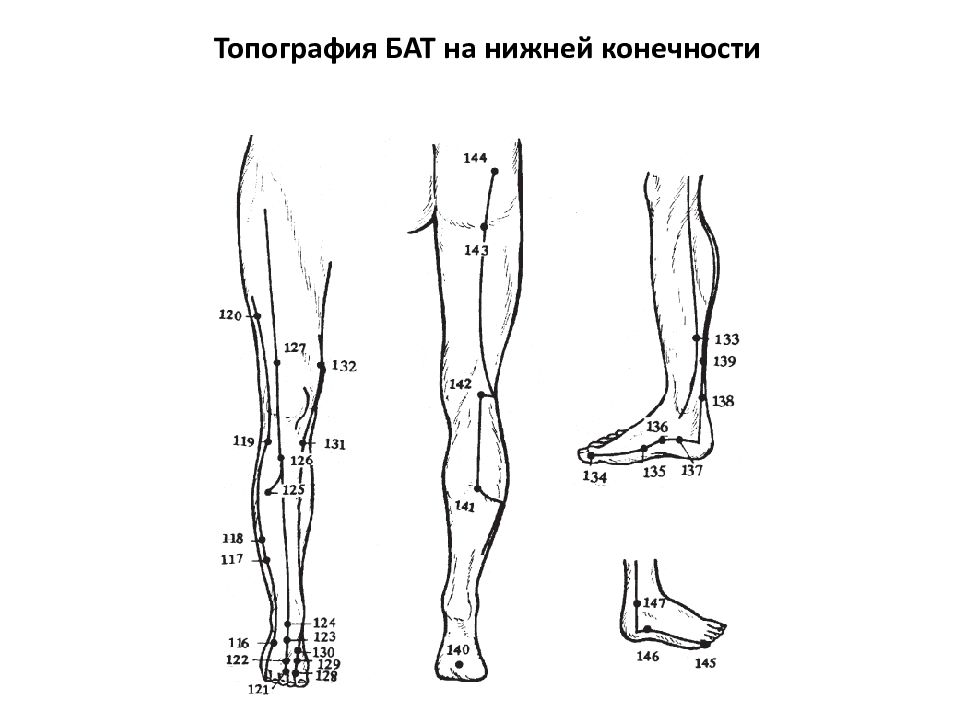 Нижних конечностей это что. Топография нижней конечности. Топограмма нижних конечностей. Топография нижней конечности анатомия. Каналы нижней конечности топографическая.