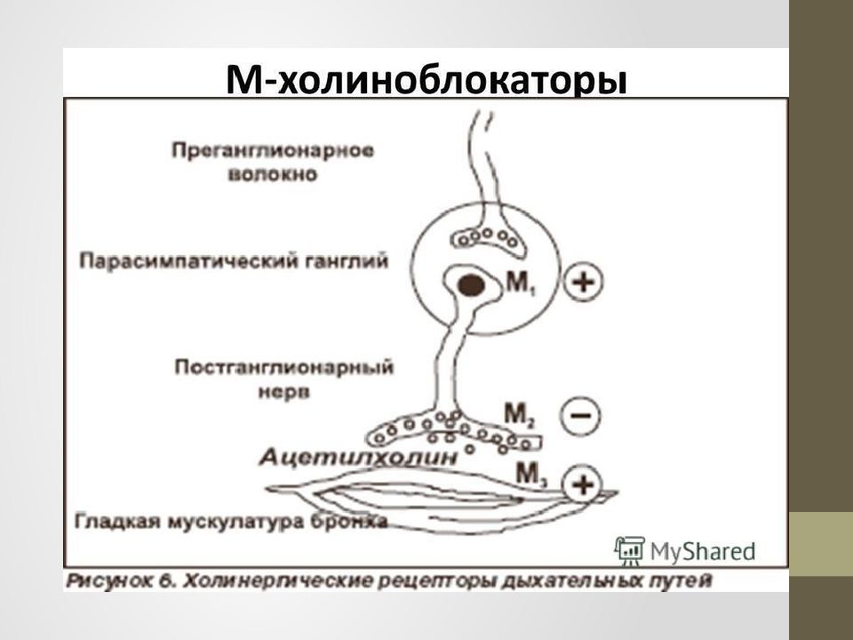 М холиноблокаторы презентация