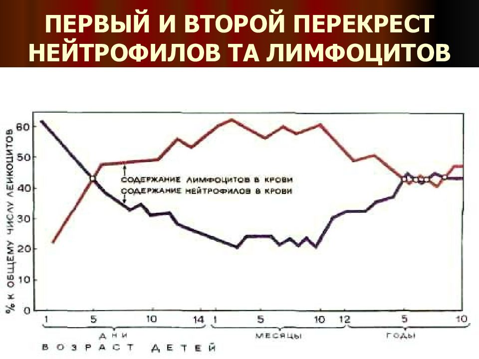 Перекрест. Второй Перекрест в лейкоцитарной формуле. Схема физиологического перекреста лейкоцитарной формулы.