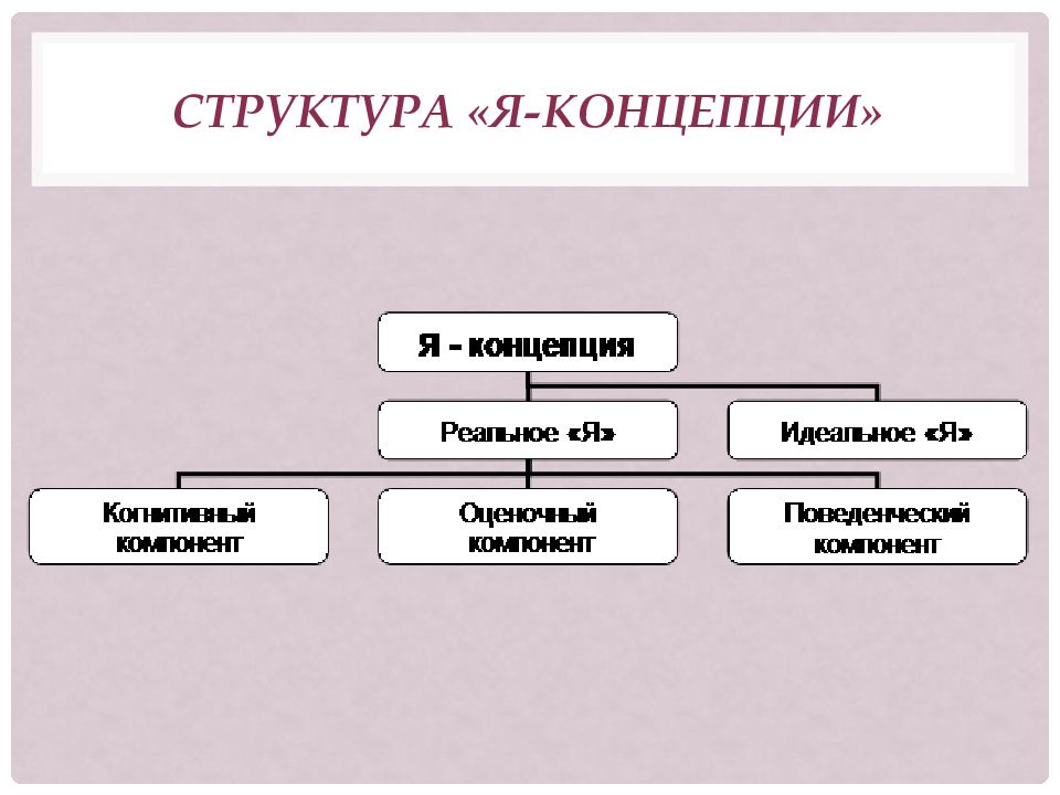 Концепции личности проект 10 класс