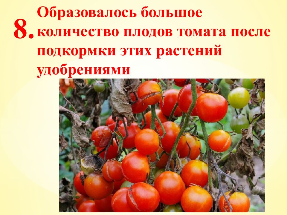 Экспресс-тест 1-й вариант 1. Случайное расхождение гомологичных хромосом при