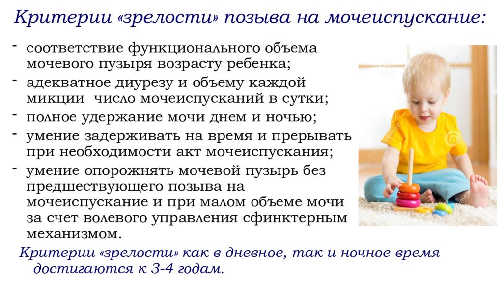 Почему у детей чаще. У ребенка возраста 5 лет число мочеиспусканий в сутки. Возрастные особенности мочеиспускания. Особенности мочевого пузыря у детей раннего возраста. Боли при мочеиспускании у ребенка 2 года.