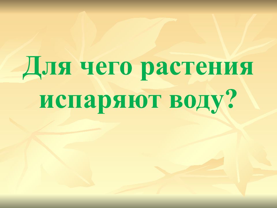 Испарение воды растениями листопад 6 класс презентация