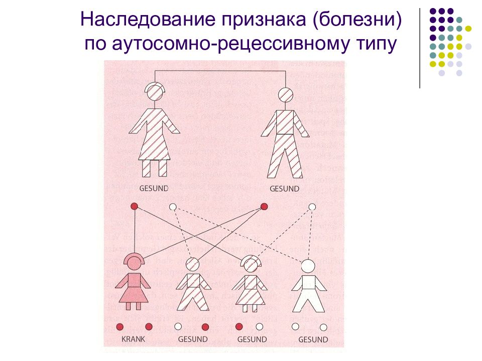 Наследование атрибутов. Наследование. Наследование признаков. Наследование презентация. Наследование изображение.