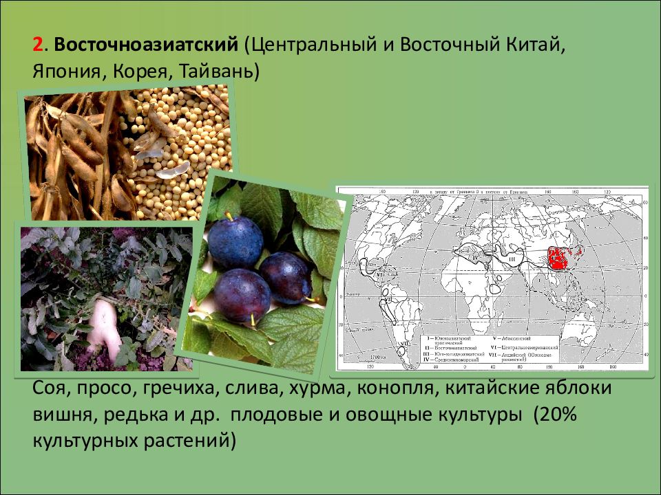 Культурные растения презентация