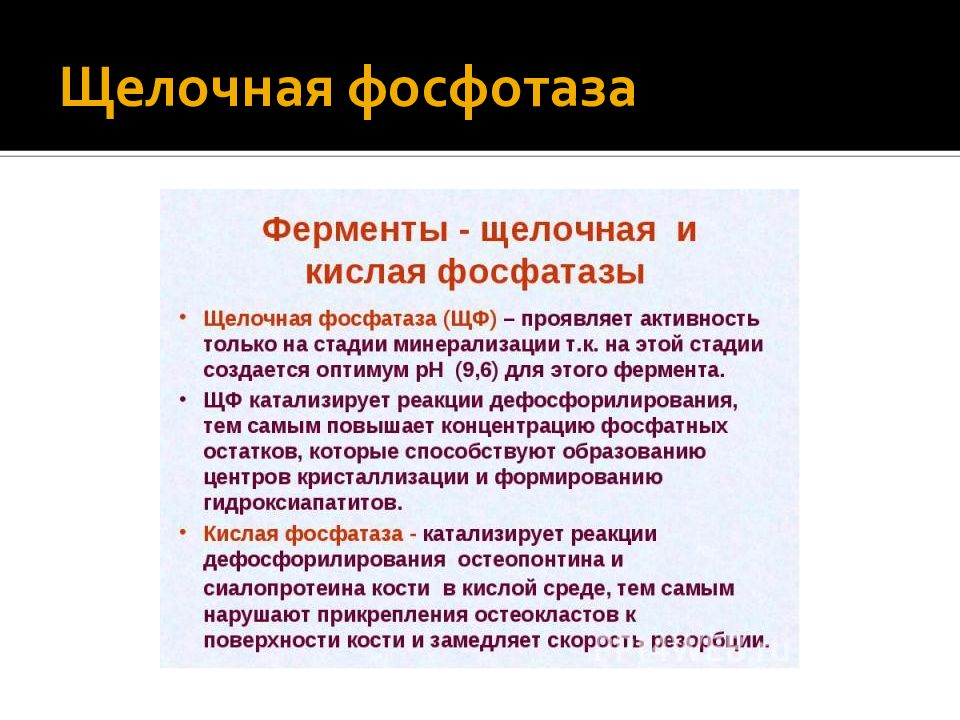 Высокая активность щелочной фосфатазы. Кислая и щелочная фосфатаза. Щелочная и кислая фосфатазы. Щелочная и кислая фосфатаза реакции. Кислая фосфатаза заболевание.