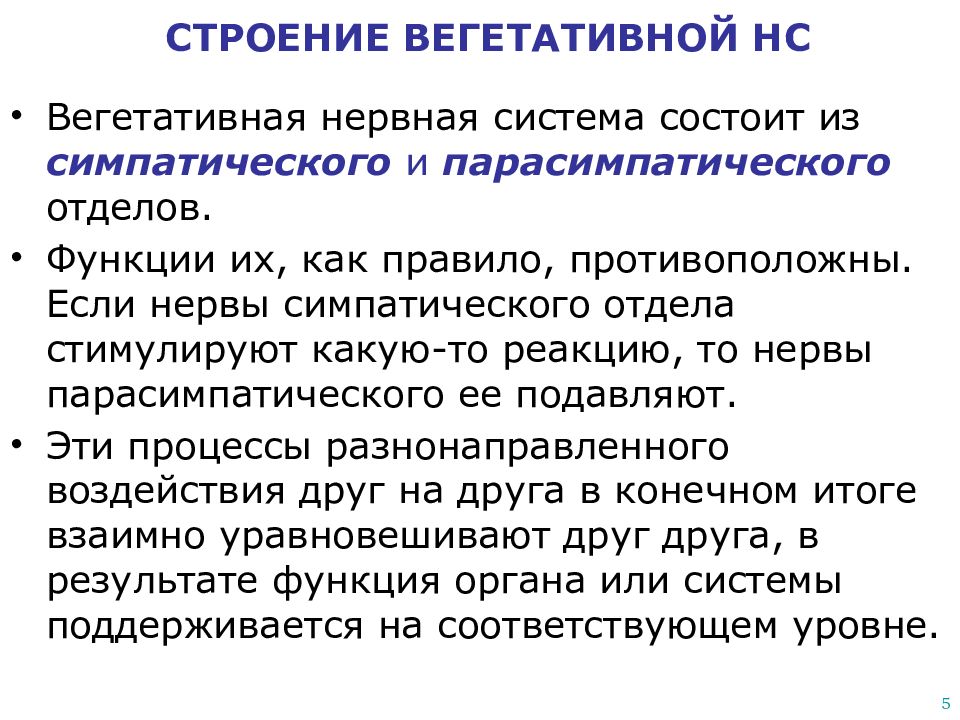 Какова функция вегетативной нервной системы