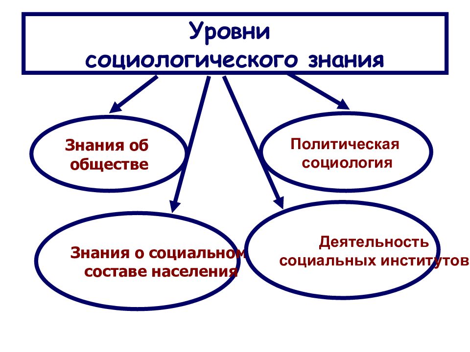 Политическая социология. Уровни социологического знания. Уровни социального знания. Социологическое знание.