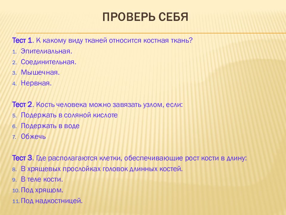 Скелет строение состав и соединение костей тест