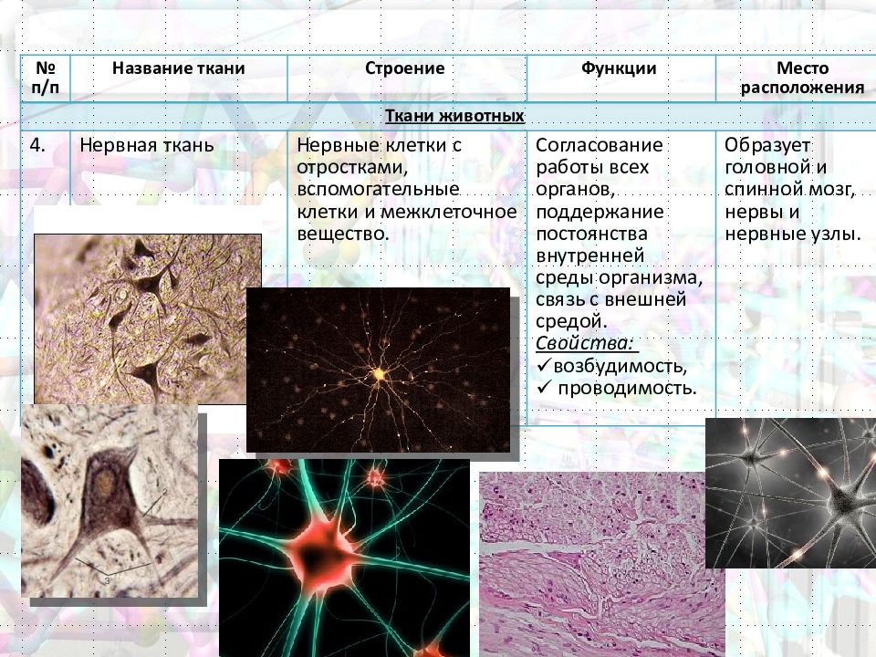 Ткани растений и животных