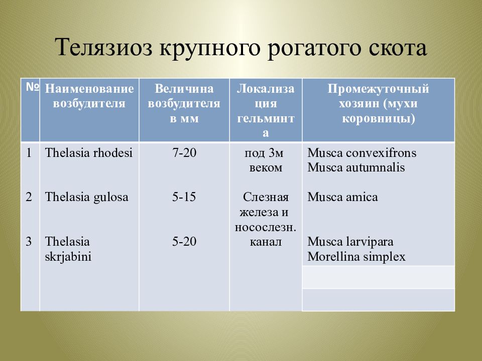 Телязиоз крс презентация