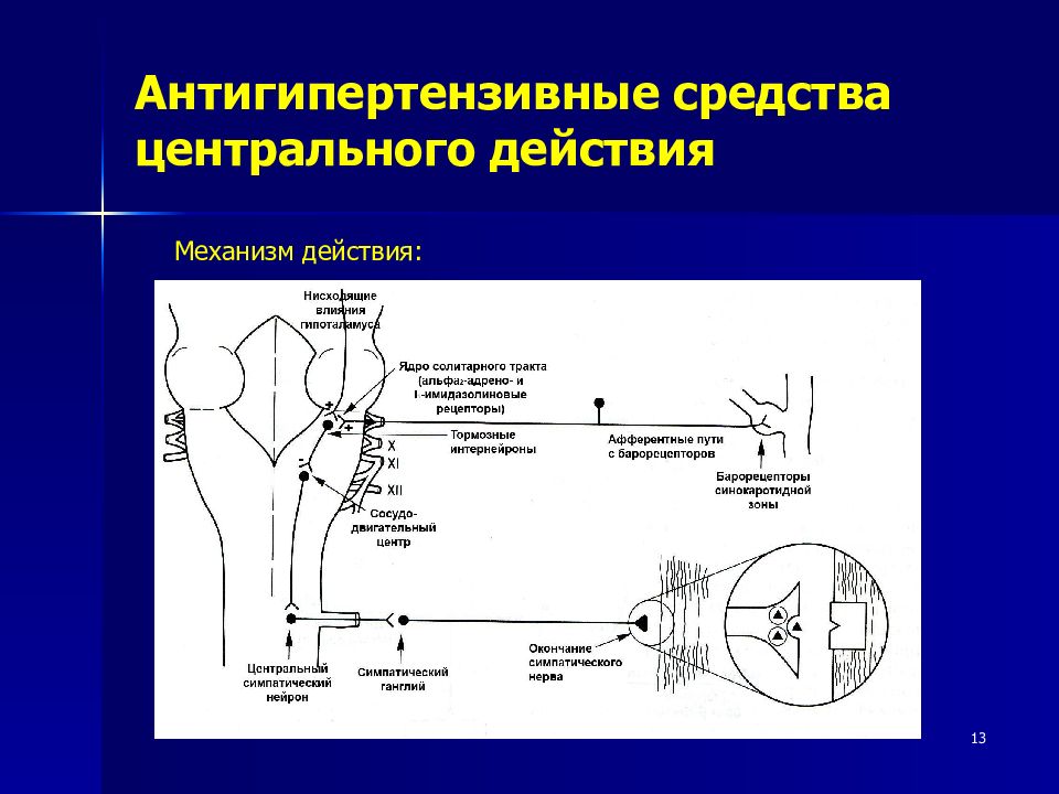 Центральное действие. Гипотензивные средства центрального механизма действия. Механизм антигипертензивного действия резерпина. Механизм действия антигипертензивных средств. Механизм действия антигипертензивных средств центрального действия.