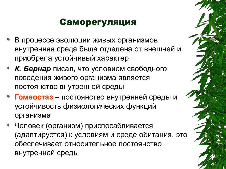 Саморегуляция организма