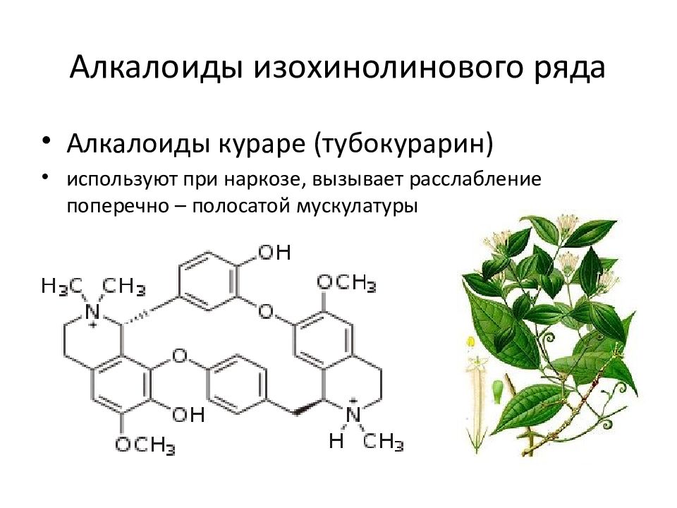 Алкалоиды это. Алкалоиды изохинолинового ряда. Алкалоид опия изохинолинового ряда. Алкалоиды структурная формула. Тубокурарин строение химическое.