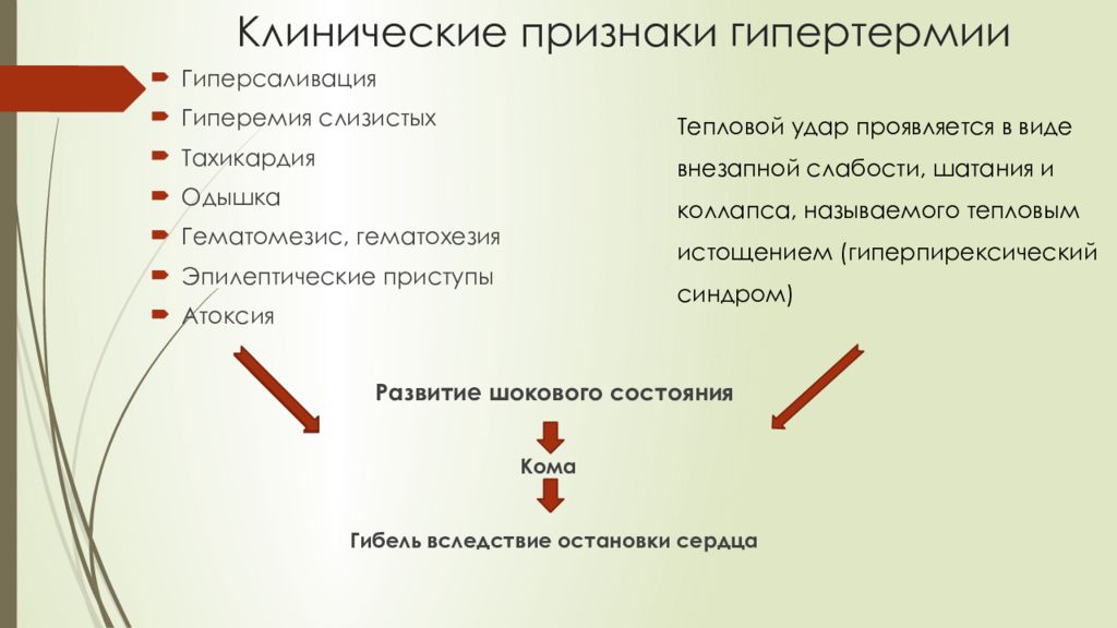 Гипертермия неотложная