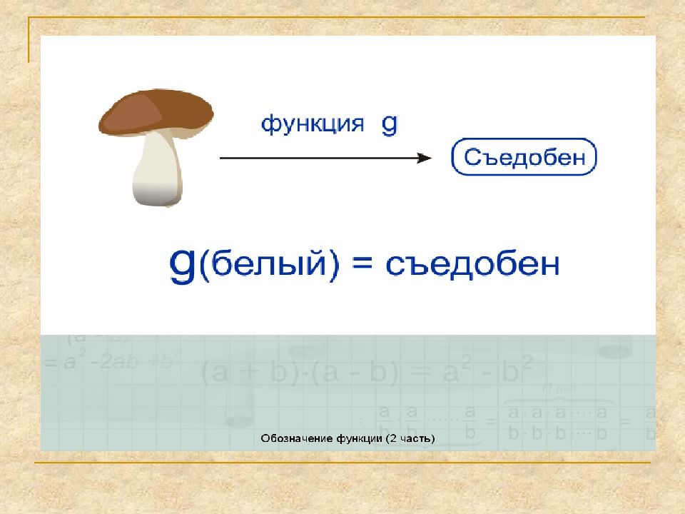 Понятие функции презентация 8 класс