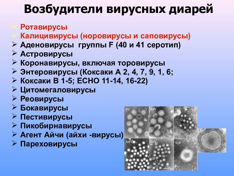 Ротавирус микробиология презентация