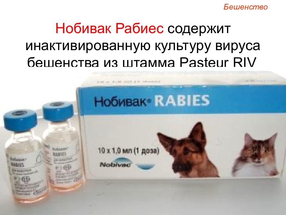 Купить вакцину для кошек в спб. Нобивак рабиес для собак. Вакцина Нобивак Rabies для собак. Нобивак рабиес для кошек. Рабикан вакцина для собак от бешенства.