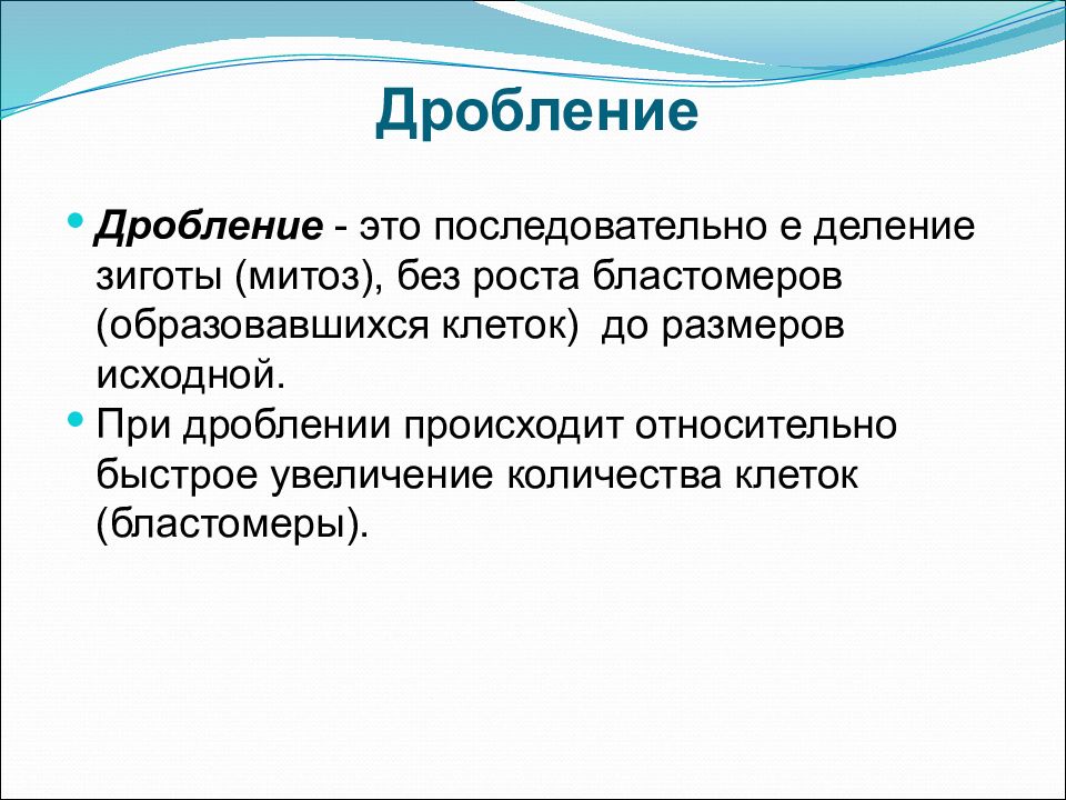 Дробление это. Детерминированное дробление. Мутации в зиготе и бластомерах примеры.