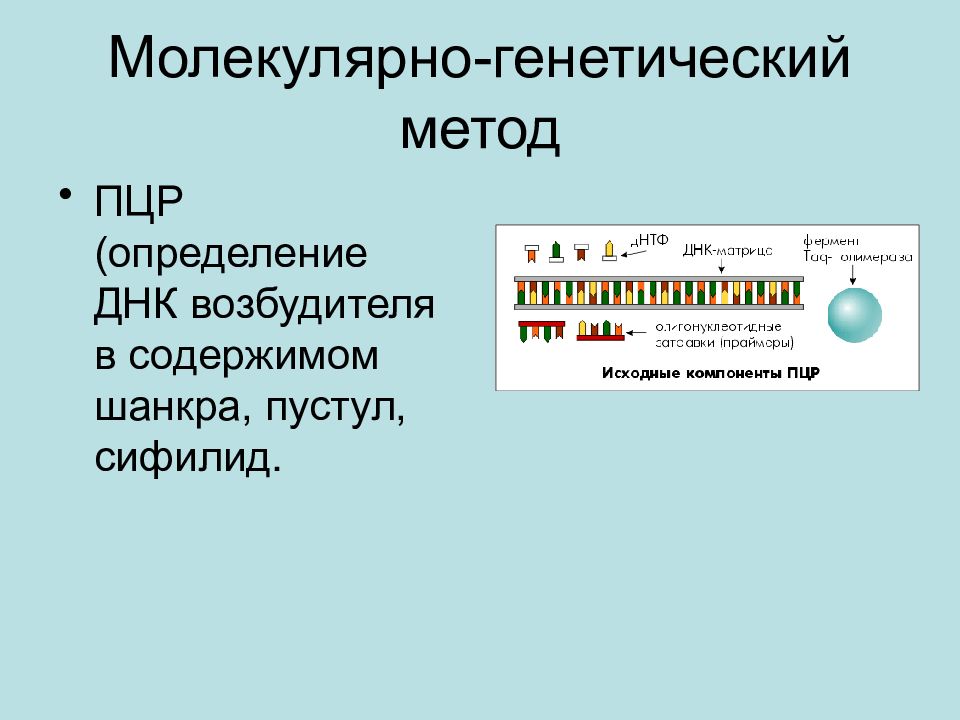 Молекулярно генетический метод. ПЦР методика генетика. Молекулярно генетический метод ПЦР. Молекулярно-генетический метод подходы. Методы молекулярной генетики.