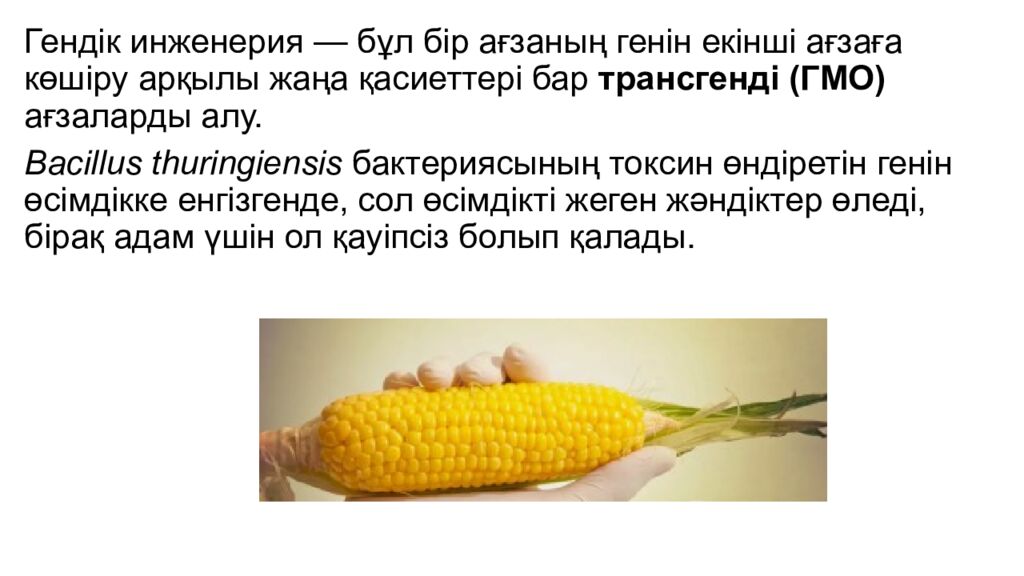 124. Гендерді клондауда, ДНҚ секвенирлеуле, мутагенезде ПТР маңызы