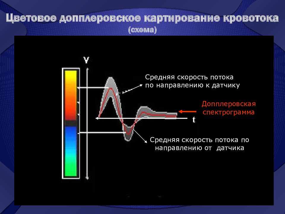 Принципы получения ультразвукового изображения сердца в трех режимах сканирования