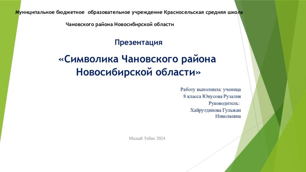 Муниципальное бюджетное образовательное учреждение Красносельская средняя школа Чановского района Новосибирской области