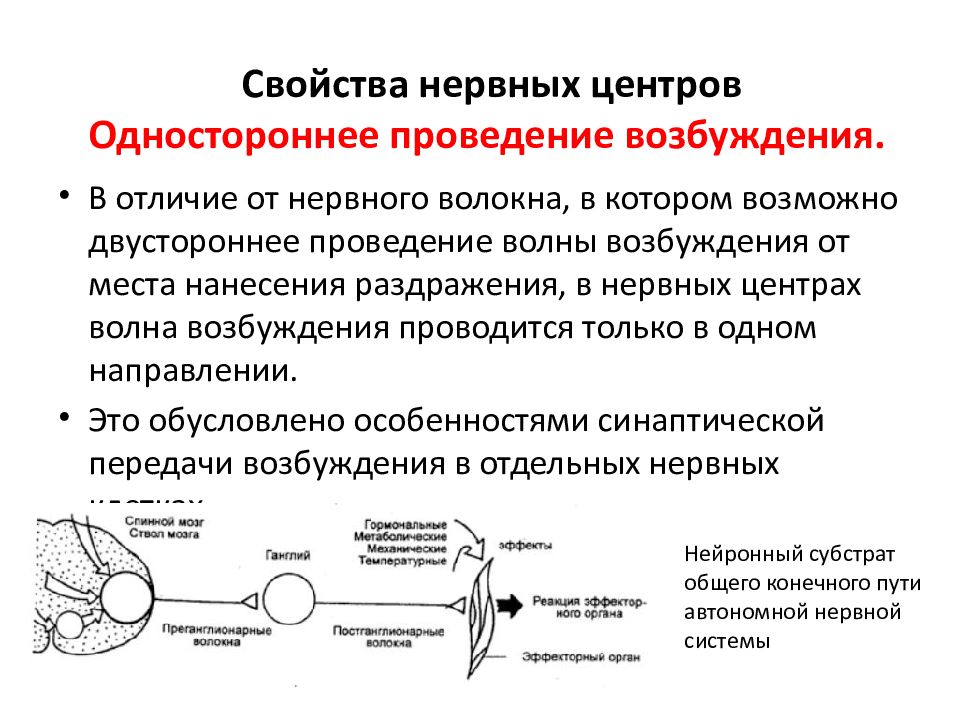 Проведение возбуждения