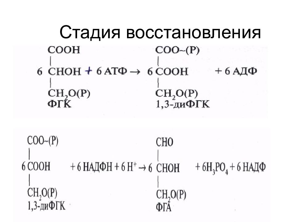 Степень восстановления