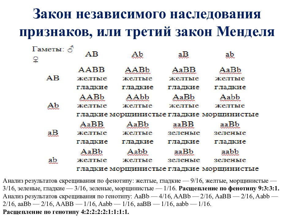 Генотип 7 6. При полигибридном скрещивании расщепление по фенотипу 9:3:3:1. Дигибридное скрещивание расщепление. Генетика таблица скрещивания. Формулы расщепления по генотипу и фенотипу.