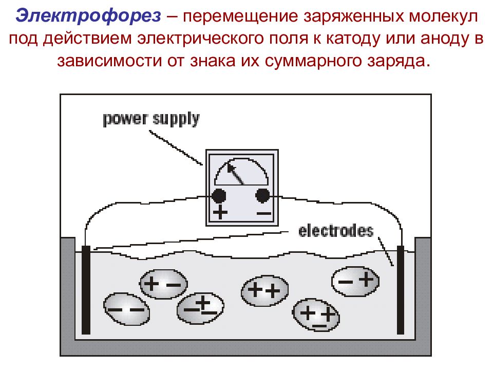 Капиллярный электрофорез презентация