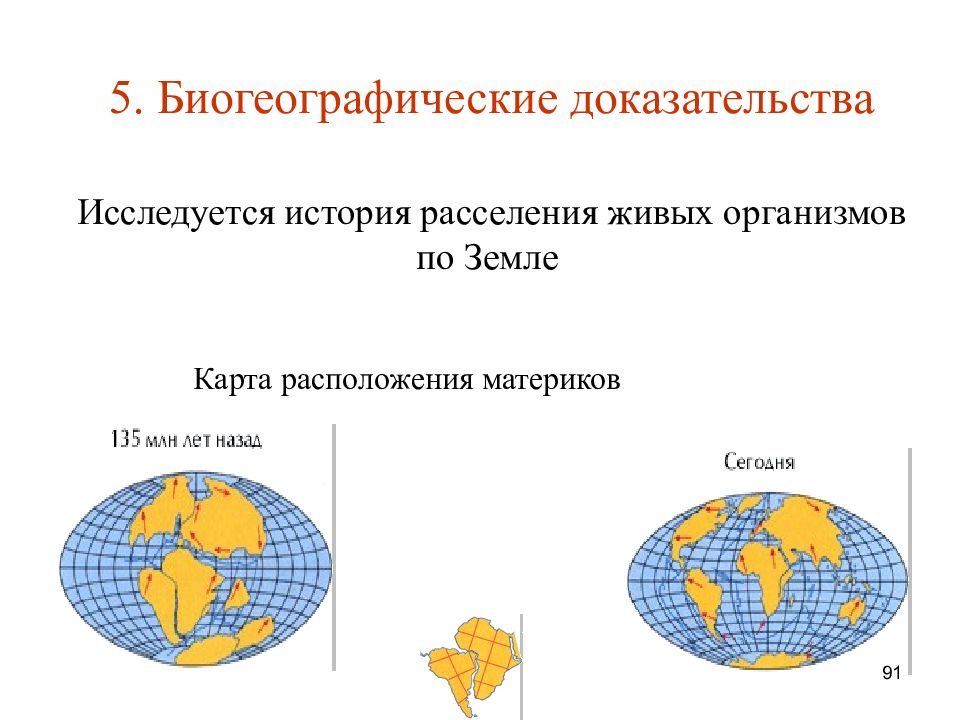 Биогеографические доказательства