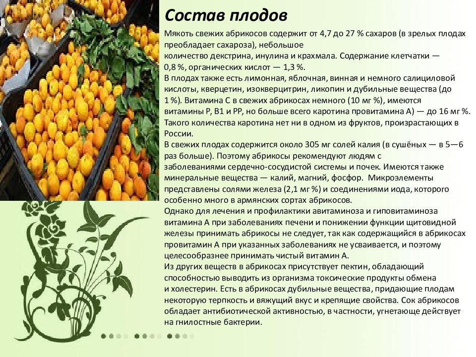 Как сохранить абрикосы свежими дольше. Абрикос полезные вещества. Сколько витаминов в абрикосе. Абрикос какие витамины содержит. Микроэлементы в абрикосах.